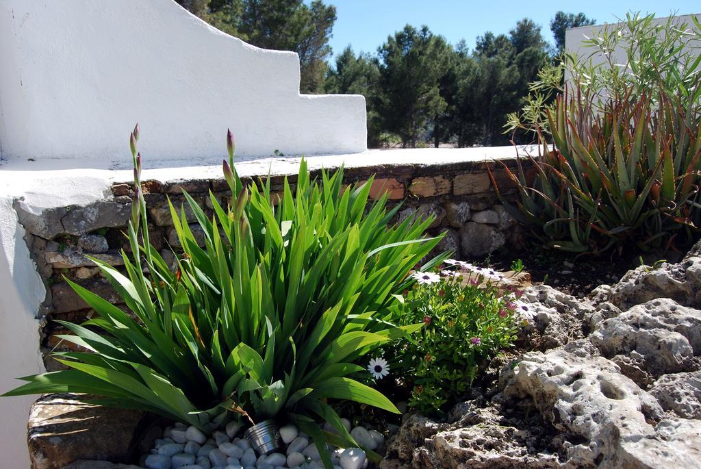 Villa La Roca - A Fusion Of Modern And Typical Andalucian Architecture Montecorto Exterior photo