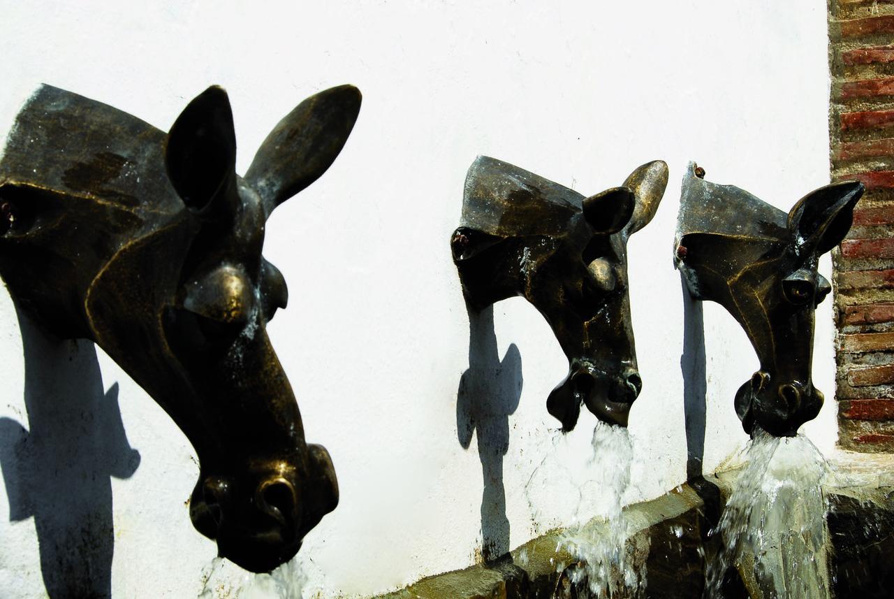 Villa La Roca - A Fusion Of Modern And Typical Andalucian Architecture Montecorto Exterior photo